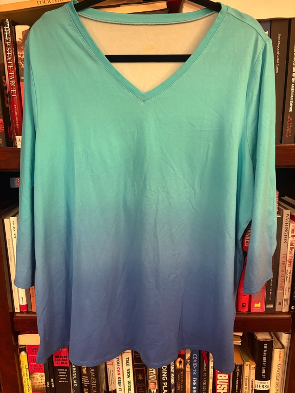 Belle by Kim Gravel Ombre Blue-Green V-Neck Tunic